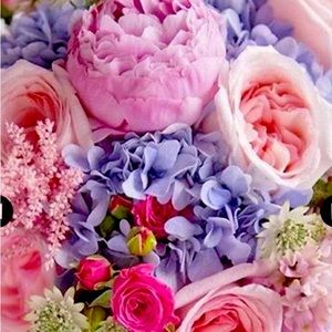 Meet your Posher, Mary